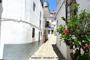 365- Genalguacil